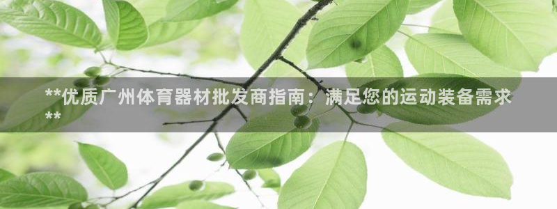 富联娱乐军7O777：**优质广州体育器材批发商指南