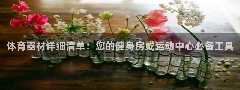 富联娱乐测速软件下载：体育器材详细清单：您的健身房或