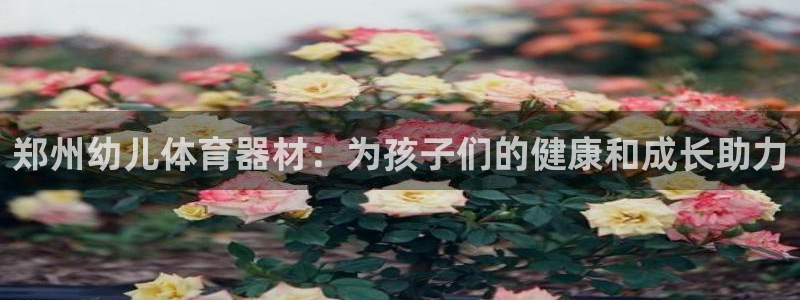 富联平台代理注册条件：郑州幼儿体育器材：为孩子们的健