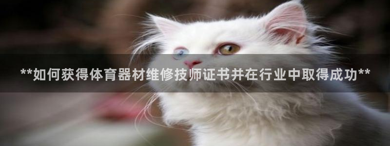 江西富联地产：**如何获得体育器材维修技师证书并在行