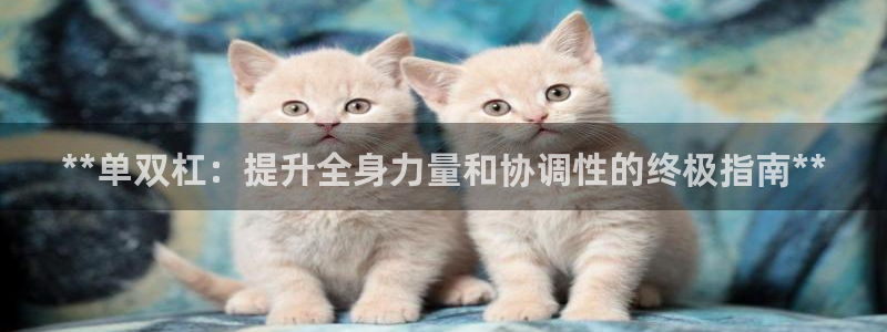 富联娱乐测速地址是什么：**单双杠：提升全身力量和协