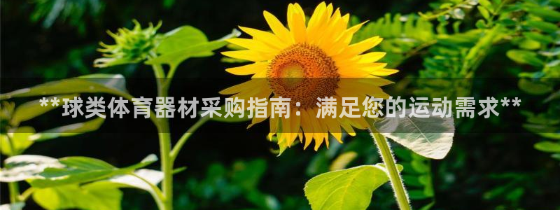 富联娱乐是骗局吗知乎：**球类体育器材采购指南：满足