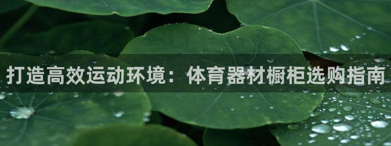 富联平台辉 411o31 富联：打造高效运动环境：体