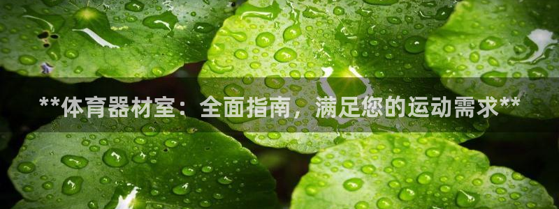 富联娱乐负责人名单：**体育器材室：全面指南，满足您