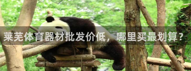 富联娱乐官方网站入口网址：莱芜体育器材批发价低，哪里