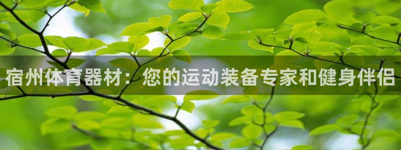 富联娱乐测速怎么样：宿州体育器材：您的运动装备专家和