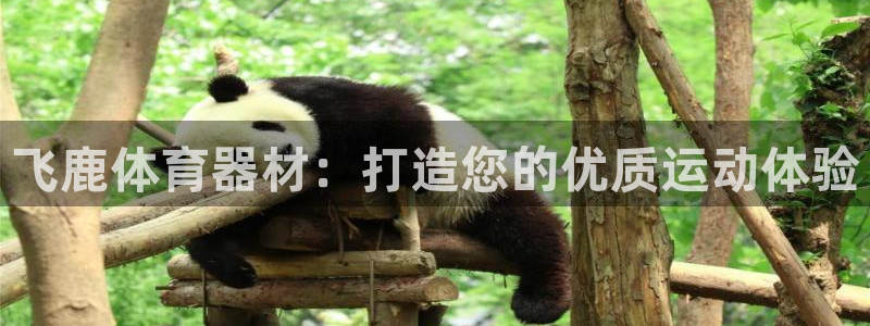 富联机械：飞鹿体育器材：打造您的优质运动体验