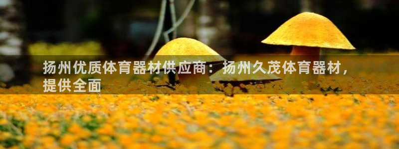 富联平台登录网址是什么：扬州优质体育器材供应商：扬州