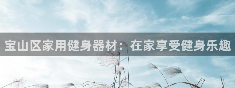 富联娱乐话 5O6917 富联：宝山区家用健身器材：