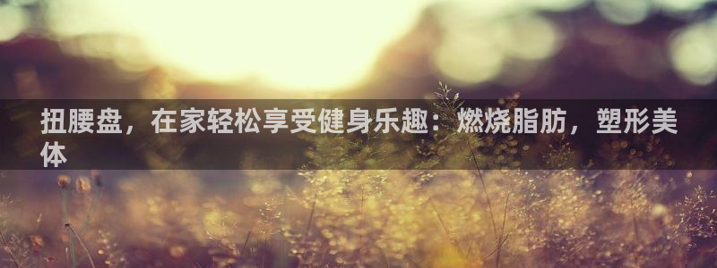 富联平台加认 58.53.4I：扭腰盘，在家轻松享受