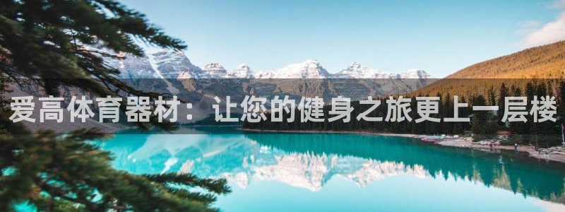 富联平台注册登录不了：爱高体育器材：让您的健身之旅更