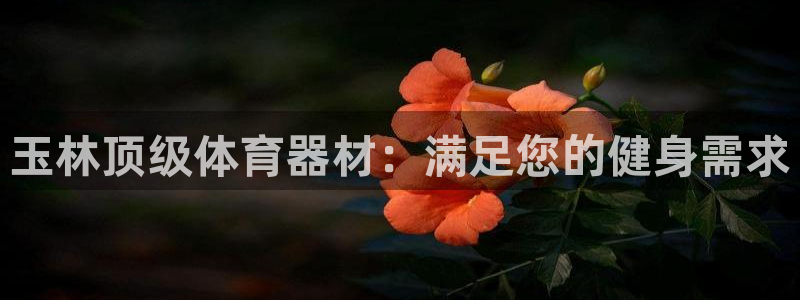 富联娱乐噢 411O31 富联：玉林顶级体育器材：满