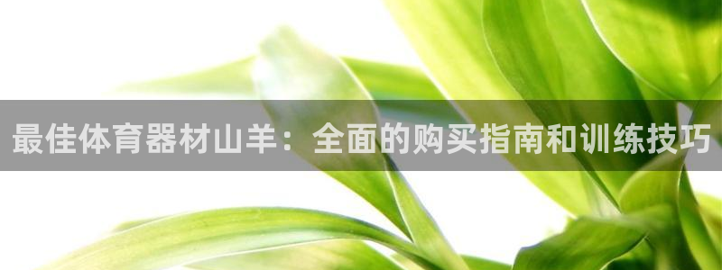 富联官方网站入口查询网址：最佳体育器材山羊：全面的购