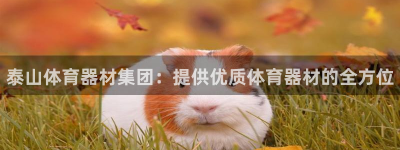 富联平台登录入口官网：泰山体育器材集团：提供优质体育
