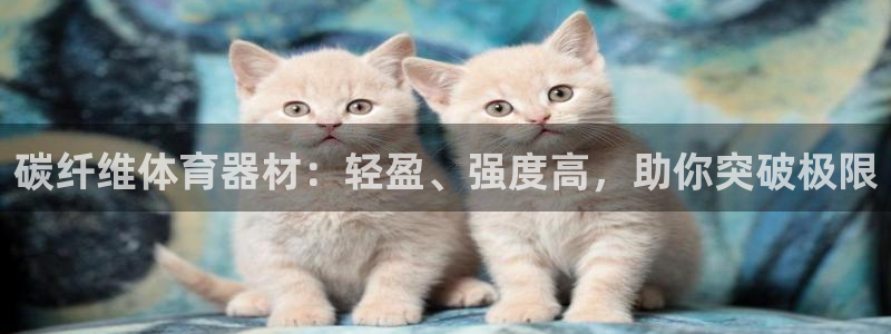 富联商标：碳纤维体育器材：轻盈、强度高，助你突破极限