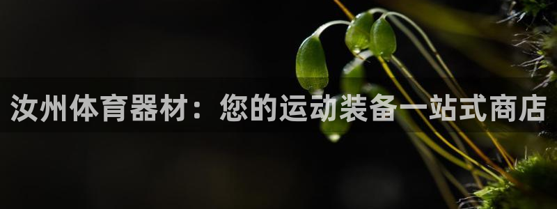 富联娱乐会员：汝州体育器材：您的运动装备一站式商店