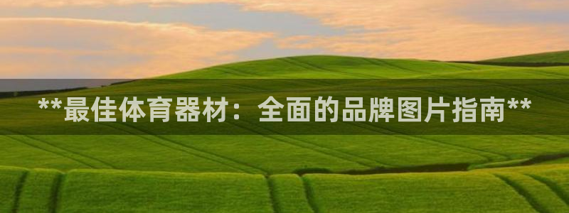 富联商城官网：**最佳体育器材：全面的品牌图片指南*