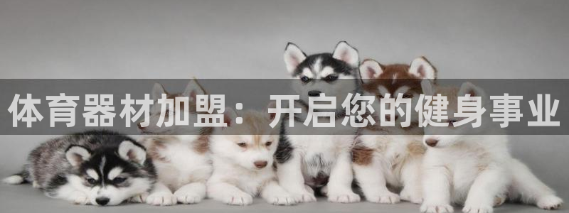 富联娱乐服务站怎么样：体育器材加盟：开启您的健身事业