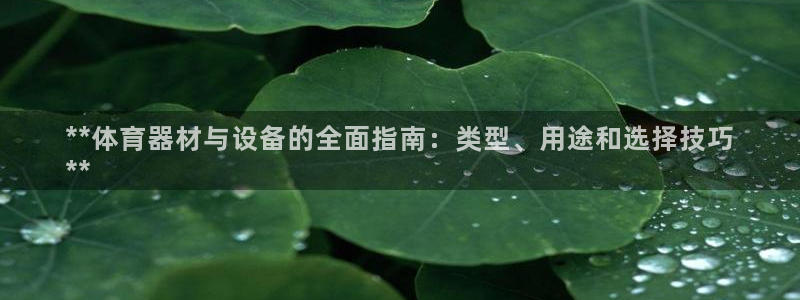 富联平台注册登录：**体育器材与设备的全面指南：类型
