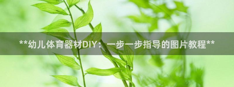 富联官方网站入口下载安装：**幼儿体育器材DIY：一
