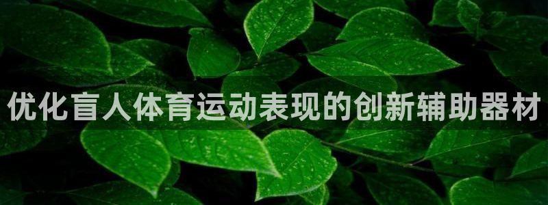 富联平台升 5O6917 平台：优化盲人体育运动表现