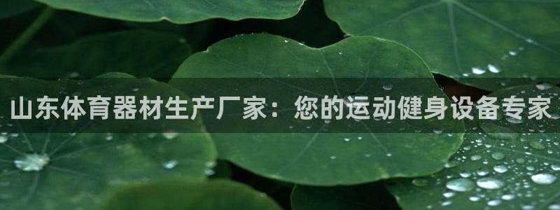 富联娱乐李 411O31 娱乐：山东体育器材生产厂家