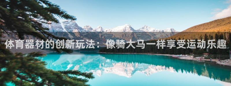 富联娱乐是真的吗：体育器材的创新玩法：像骑大马一样享