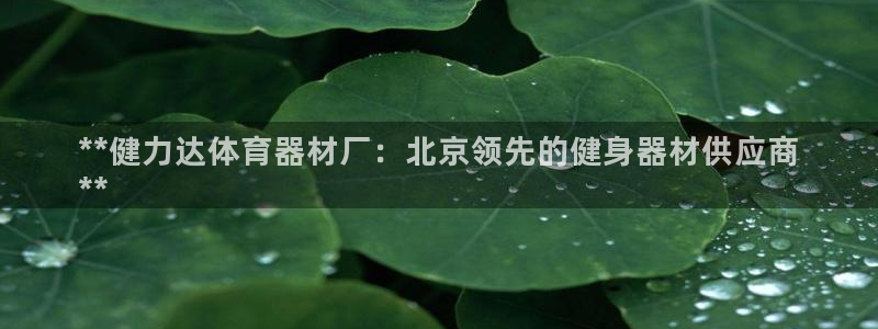 富联娱乐登录注册不了：**健力达体育器材厂：北京领先