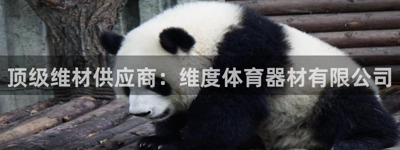 富联娱乐访问：顶级维材供应商：维度体育器材有限公司