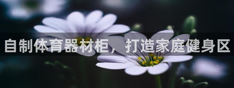 富联娱乐代理怎么做的：自制体育器材柜，打造家庭健身区