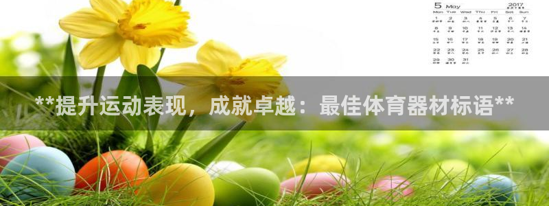 富联娱乐老板：**提升运动表现，成就卓越：最佳体育器材标语*