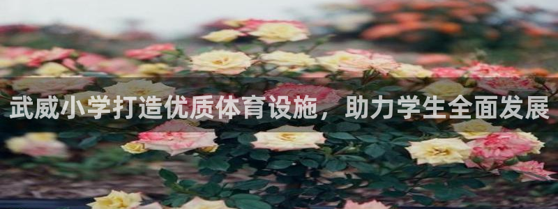 富联平台开户条件：武威小学打造优质体育设施，助力学生
