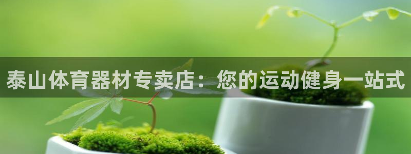 富联娱乐股东结构：泰山体育器材专卖店：您的运动健身一