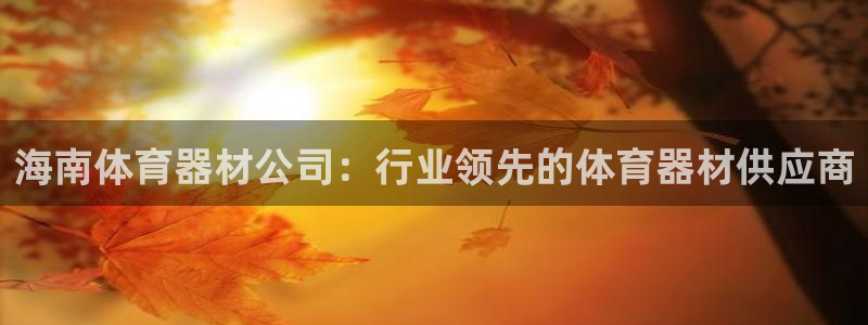 富联娱乐测速地址是什么：海南体育器材公司：行业领先的