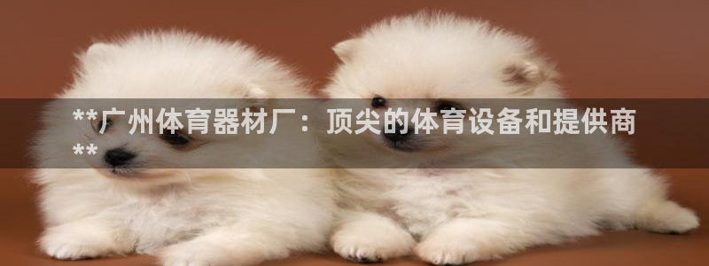 富联平台官网下载：**广州体育器材厂：顶尖的体育设备
