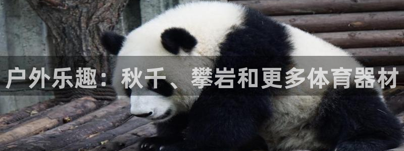 富联官方网站首页：户外乐趣：秋千、攀岩和更多体育器材