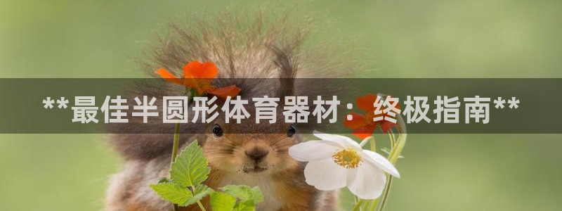 富联平台注册登录不了：**最佳半圆形体育器材：终极指