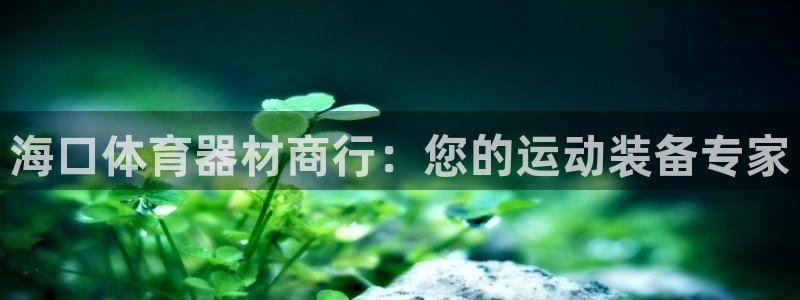 富联娱乐股东：海口体育器材商行：您的运动装备专家