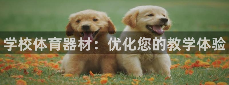 富联娱乐总代理是谁：学校体育器材：优化您的教学体验
