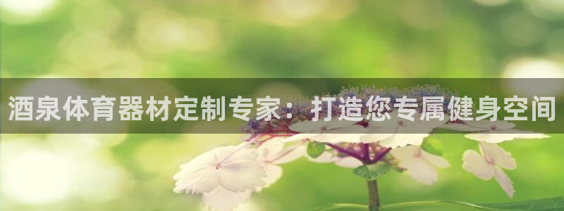 富联娱乐待 411o31 娱乐：酒泉体育器材定制专家