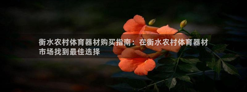 富联平台招商怎么样：衡水农村体育器材购买指南：在衡水