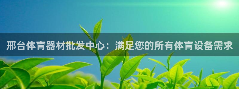 富联娱乐平台能挣到钱吗安全吗：邢台体育器材批发中心：