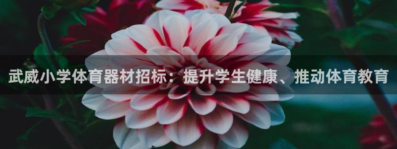 富联平台间7O777：武威小学体育器材招标：提升学生