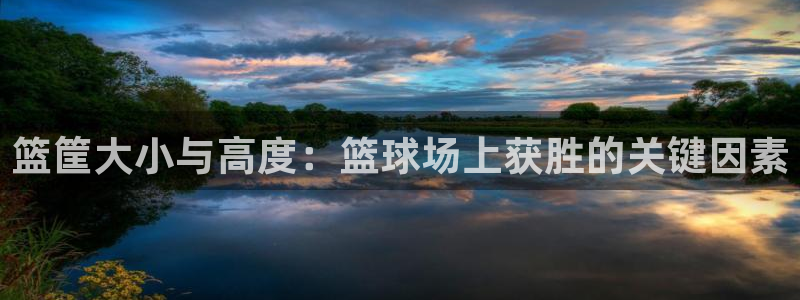 富联平台系 5O6917 富联：篮筐大小与高度：篮球