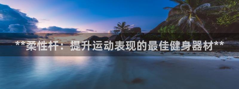富联机器人产业研发基地：**柔性杆：提升运动表现的最