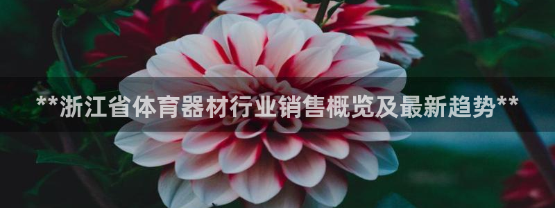 富联娱乐官方网站首页登录：**浙江省体育器材行业销售