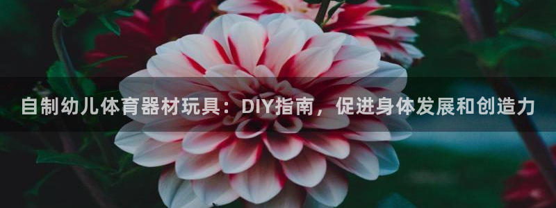 富联平台代理注册条件：自制幼儿体育器材玩具：DIY指