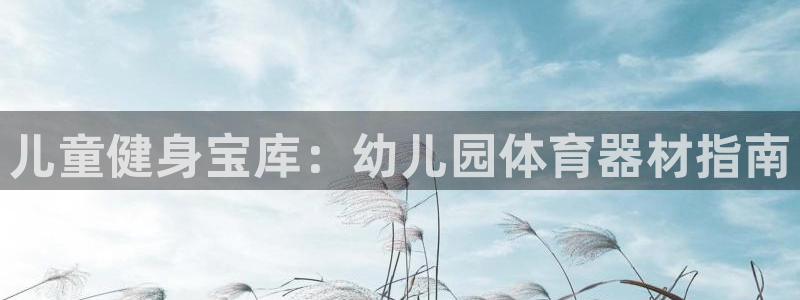 富联申购什么时候开盘：儿童健身宝库：幼儿园体育器材指