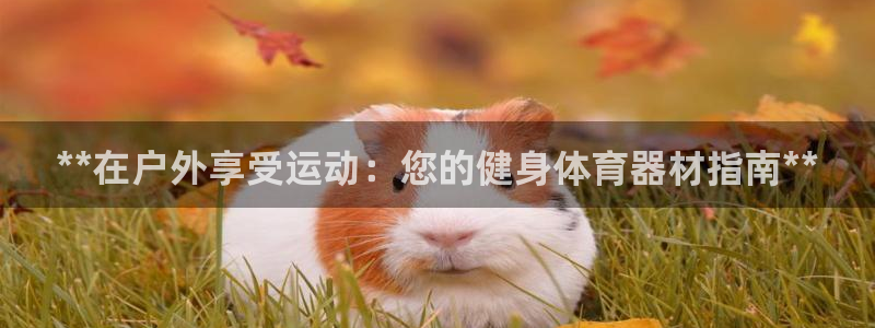 富联申购是什么股票：**在户外享受运动：您的健身体育