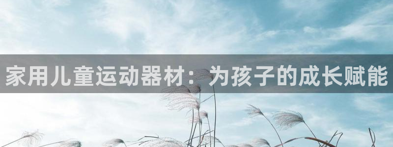富联平台离7O777：家用儿童运动器材：为孩子的成长
